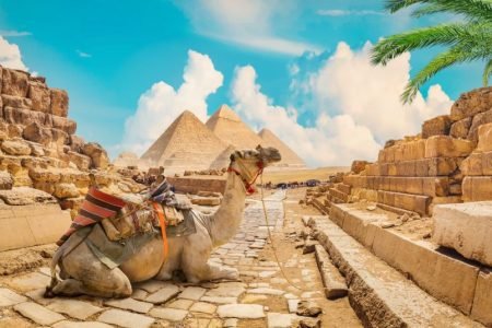 Hurghada: Cairo and Giza Highlights Tour with  Lunch